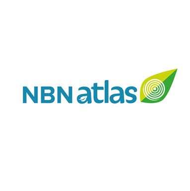 Lithocarpus NBN Atlas