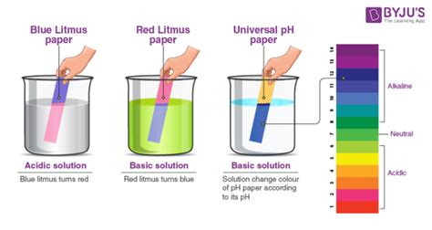 Litmus Definition, Meaning & Usage FineDictionary.com