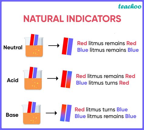 Litmus solution (Natural indicator) Acids, bases, and salts