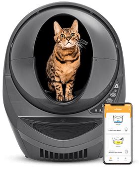 Litter Robot 4 Offline
