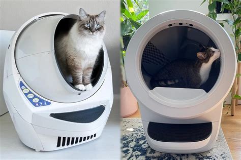 Litter robot 3 vs 4. My other manual litter boxes were black and grey and they all showed so much dust. The white one looks super nice/clean. I also have white walls and dark-ish floors if you wanna see for your reference. 