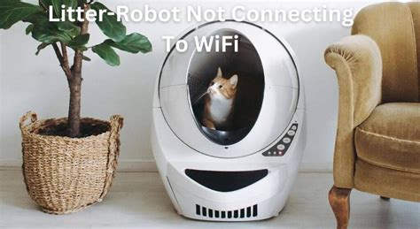 Litter robot 4 not connecting to app. Tap Connections or WiFi. Look for Litter-Robot SSID (may need to scroll down) Tap Litter-Robot. Input the password neverscoop. Allow the device to establish a connection; the WiFi signal should be visible on the top left of the screen. Return to the Whisker app. Follow the prompts in the app. If you see 'Litter-Robot SSID not found': 
