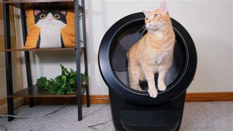 Litter robot 4 reviews. If you are looking for a smart and convenient way to keep your cat's litter box clean and fresh, you might want to check out the Whisker Litter-Robot 3 Connect. This innovative device is a Wi-Fi-enabled, covered, automatic self-cleaning cat litter box that reduces odor and saves litter. You can monitor and control it from your smartphone, and get alerts … 