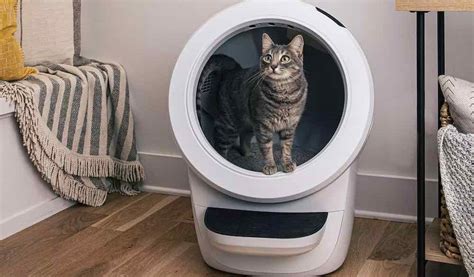 Litter robot cycling light flashing. Apple released a new “Dim Flashing Light” feature that can automatically dim flashing lights or strobe effects. Apple released the tvOS 16.4 update to the public yesterday, bringing various improvements to the system, including a new “Dim F... 