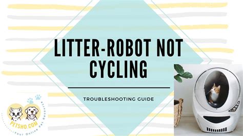 Litter robot does not cycle. The Litter-Robot 3 is equipped with Cat Sensor that detects when a cat enters and exits the globe. To ensure the accuracy and reliability of the Cat Sensor,... 