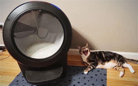 We don’t recommend buying an automatic litter box, but if you really want one, this model scooped the most waste without jamming. $500 from Litter-Robot. The Litter-Robot III Open Air holds .... 