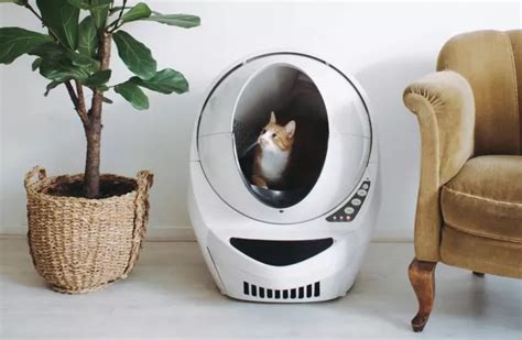 Litter robot litter. Mar 5, 2024 · With Litter-Robot 4, you can even receive updates directly to your phone that will allow you to track your cat’s litter box habits. For example, if your cat normally uses Litter-Robot three or four times per day, and suddenly stops using it for a day or more—you’ll know they’re either going to the bathroom elsewhere around the house or ... 