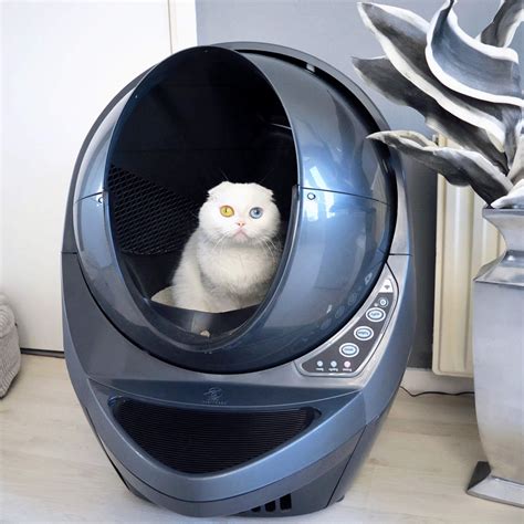 Litter robot reviews. May 23, 2023 · With five easy buttons and an LED display, the Litter-Robot 4 offers a user-friendly design and a thoughtful app so you can monitor your cat's toileting behavior and recognize any potential health issues quickly. Key Features. Available in black or white. Suitable for up to four cats. Whisker app. Cat recognition. 