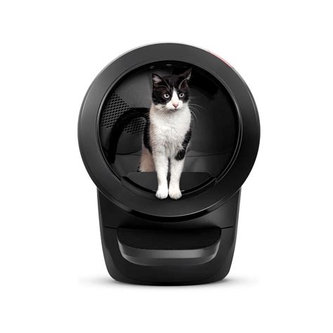 Size: Beyond big. An average litter box is fairly compact—personally, our old one was 15 inches by 19 inches with 8-inch walls. The Litter-Robot 3, on the other hand, is absolutely huge. This futuristic-looking gadget is almost 2.5 feet—and it measures just over 2 feet wide and a little over 2 feet deep.. 