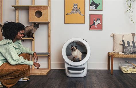 Litter robot support. Aug 7, 2023 · The Whisker Litter-Robot 4 is the best automatic litter box we tested. The machine's smart features and ease of use justify its $700 price tag. ... and software support. If you need to send your ... 