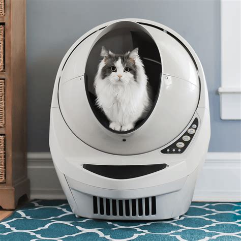 Litter robot used. Curious Cat. Photograph: Whisker. Whisker’s Litter-Robot 4 is the company’s fourth iteration of its famous box ( we also liked the 3 Connect ). This one comes with a much larger entry and ... 