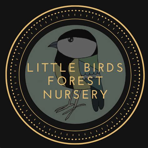 Little Birds Forest Nursery Arundel - Facebook