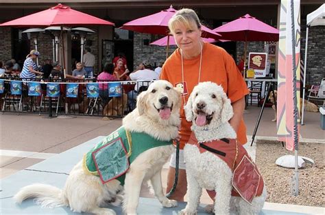 Little Bite of Italy Is Pet Friendly - BringFido