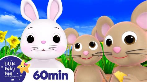 Little Bunny Foo Foo +More Nursery Rhymes and Kids …