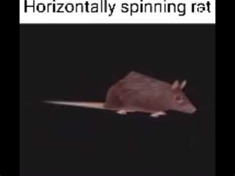 Little Dark Age Horizontally Spinning Rat 1 Hour - YouTube