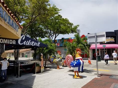 Little Havana (Miami) - All You Need to Know BEFORE You Go - Tripadvisor