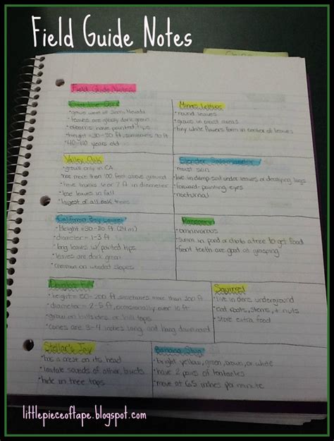 Little Piece of Tape Creating a Field Guide in the Classroom