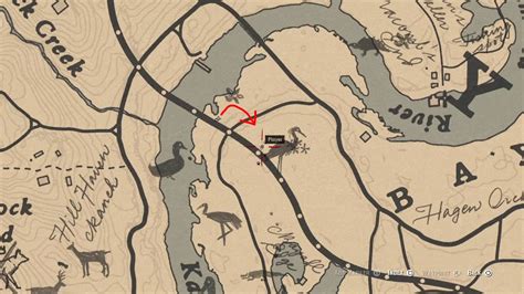 After that, head to North of Saint Denis where you will receive Duchesses and other Animals RDR2 stranger mission from Algernon Wasp. ... 5 Little Egret Plumes – Bayou Nwa, north of Saint Denis.. 