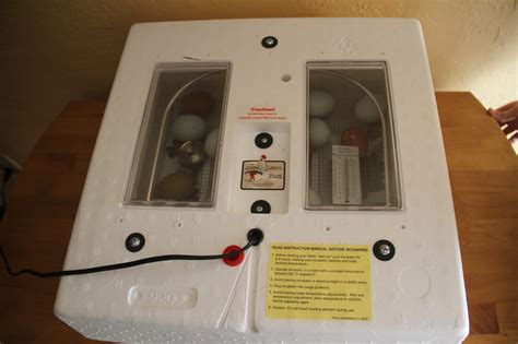 Little giant incubator instructions. Little Giant has designed their incubators to be easier and safer to use than ever! With an incubation capacity of approximately 46 chicken eggs, 40 duck eg... 