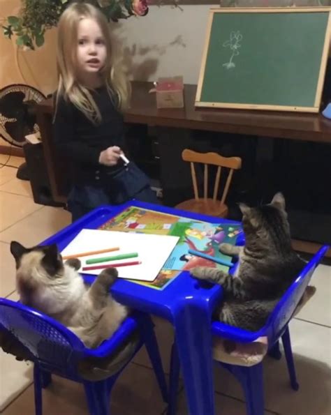 Little girl teaching her cats how to draw a flower : r/aww