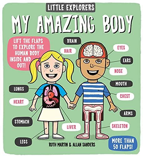 Download Little Explorers My Amazing Body By Ruth Martin