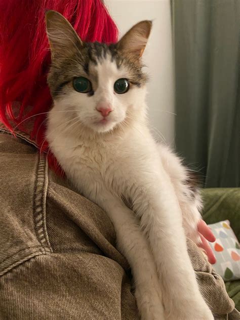 Little.Catxx Onlyfans Leak XXX 🍌 165 Vids