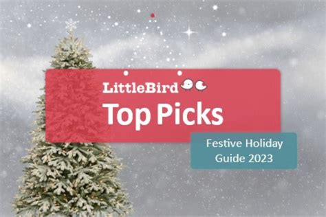 Littlebird2023 Onlyfans Leak [HD] 😈 71 Videos