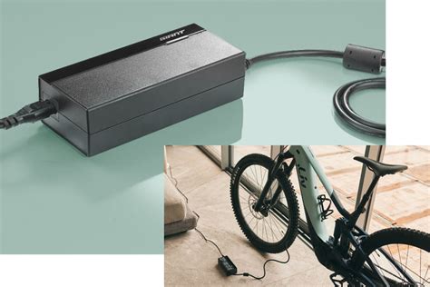 Liv e bike charger.  The Smart Charger Compact automatically optimizes battery efficiency and lo...