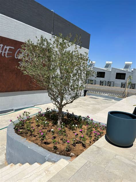 Livability Project Website