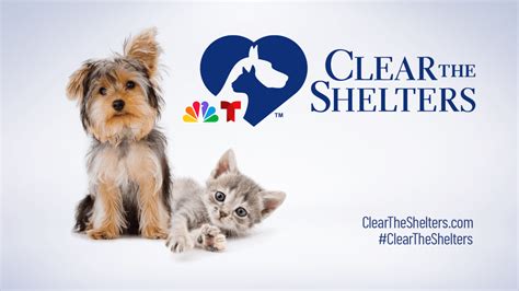 Live Blog: 2023 Clear the Shelters event today