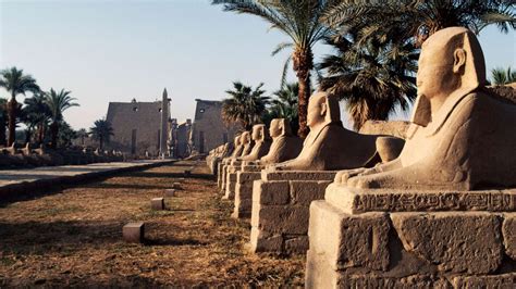 Live Update: Egypt’s Luxor Spectacular Sphinx Avenue Parade