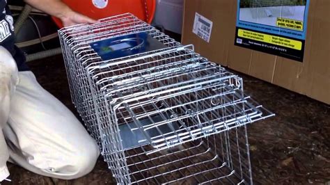 Live animal traps harbor freight. Things To Know About Live animal traps harbor freight. 