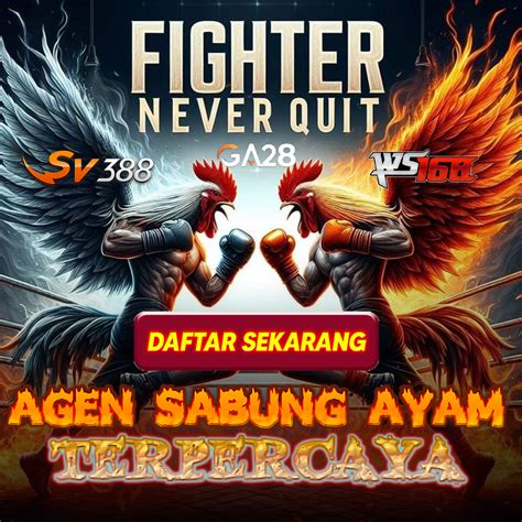 Live draw togel bullseye tercepat. Sabung ayam online wala.