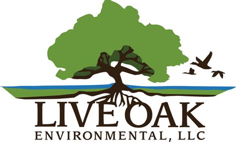 Live oak environmental. Live Oak Environmental 