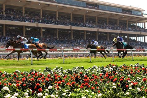 Racing and events calendar for the Del Mar Racetrack. ... Live Video; Stakes Schedule; Results. ... ©2024 Del Mar Thoroughbred Club