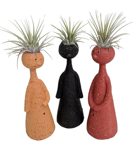 Live trends plants. Dec 10, 2019 · Each LiveTrends Design Avalanche snowman plant is $7.99. Since it’s wallet-friendly and winter -themed, as opposed to Christmas, it makes for a great gift that will last through the cold months. Plus, it was created by the same brand that designed those yoga skeleton plants at Trader Joe’s. When you’re out at Target picking up a couple ... 