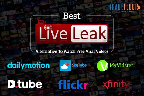Liveleak alternatives reddit. LiveLeak alternative? I know some of you trolls watched LiveLeak. Now the site's no more due to censorship. Anyone know the best site to go to for stuff like that now? 3. 