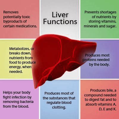 Liver Cleanse Side Effects - Is That Truly Dangerous For …