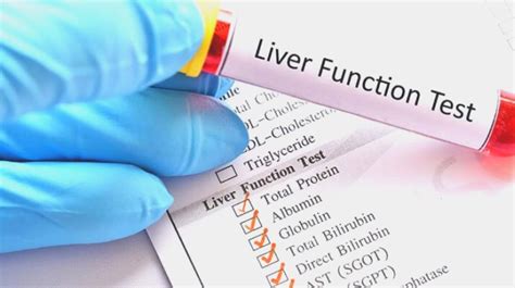 Liver Function Tests Information about its Types and Purposes