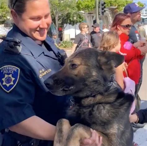 Livermore police say goodbye to beloved K9 Bugsy