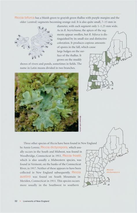 Liverworts of new england a guide for the amateur naturalist. - Manuale del quadro elettrico crompton greaves mv.