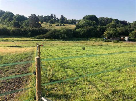 Livery, Stables and Grazing Services in Farnham - Freeads