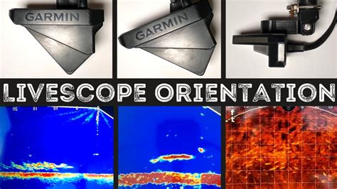 How to change from forward to down orientation on the livescope