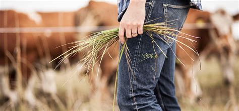 Livestock Exhibitors Four States Ag Expo