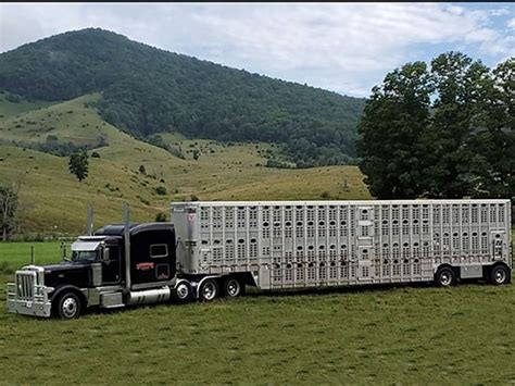 Livestock hauling jobs. Things To Know About Livestock hauling jobs. 