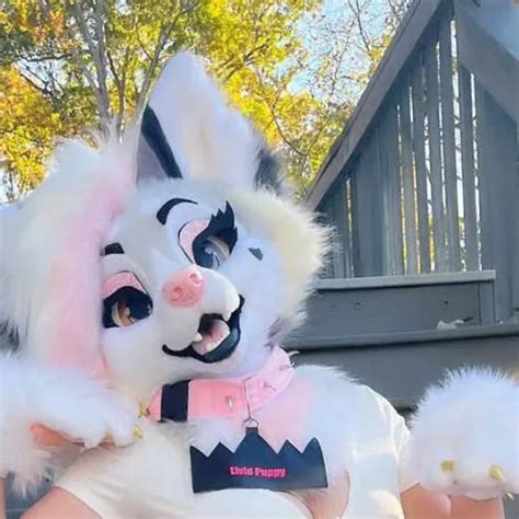 Lividpuppy Onlyfans Leaked 💦 [CLIP]