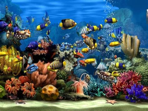 Living Marine Aquarium
