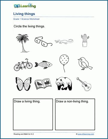 Living Things Worksheets K5 Learning