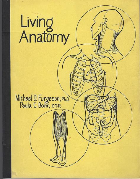 Living anatomy laboratory manual by michael d furgeson. - The routledge handbook of systemic functional linguistics routledge handbooks in linguistics.