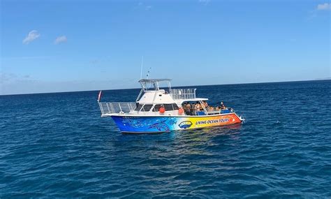 Living ocean tours. Living Ocean Tours. 2,498 reviews. #36 of 339 Boat Tours & Water Sports in Honolulu. Scuba & SnorkellingBoat Tours. Open now. 8:00 … 